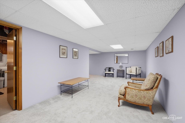 sitting room featuring carpet flooring