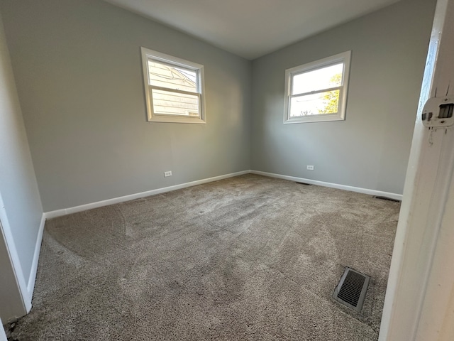 unfurnished room with carpet flooring and a wealth of natural light