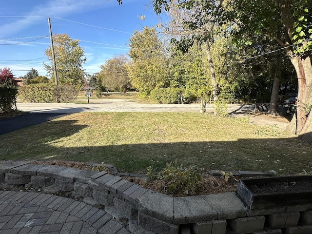 225 Pleasure Dr, Mundelein, IL 60060 - view of yard