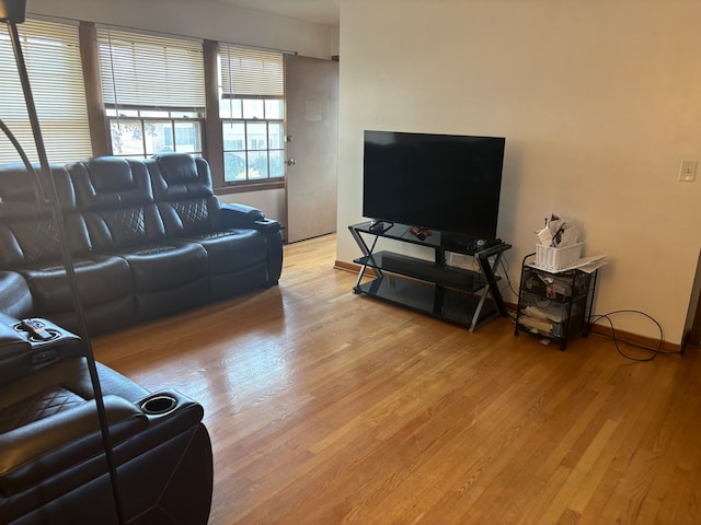 living room with light wood-type flooring