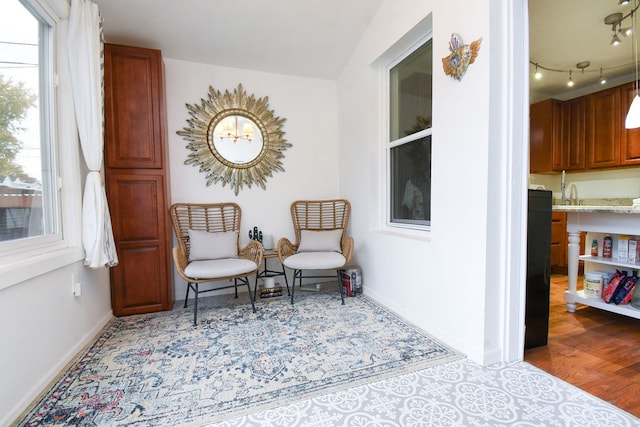 sitting room featuring wood-type flooring