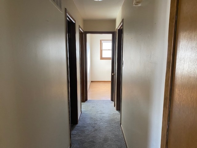 corridor featuring carpet flooring