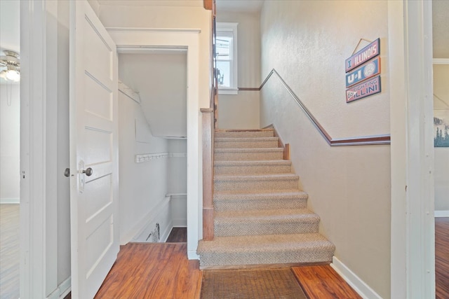 staircase with hardwood / wood-style floors