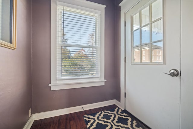 doorway featuring hardwood / wood-style flooring and a wealth of natural light