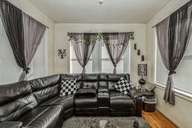 living room with hardwood / wood-style flooring