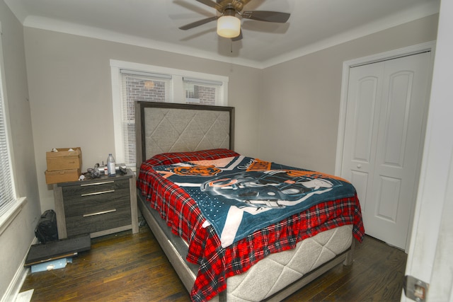 bedroom featuring crown molding, ceiling fan, a closet, and dark hardwood / wood-style flooring