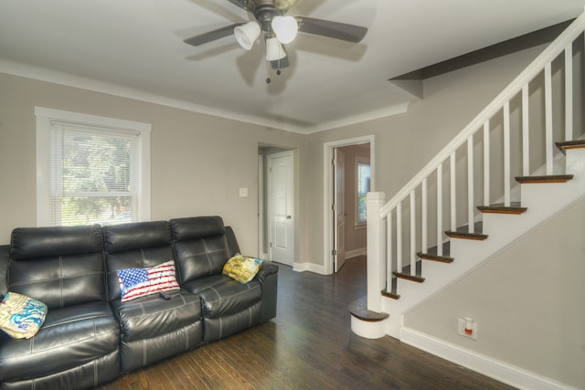 living room with ceiling fan and dark hardwood / wood-style flooring