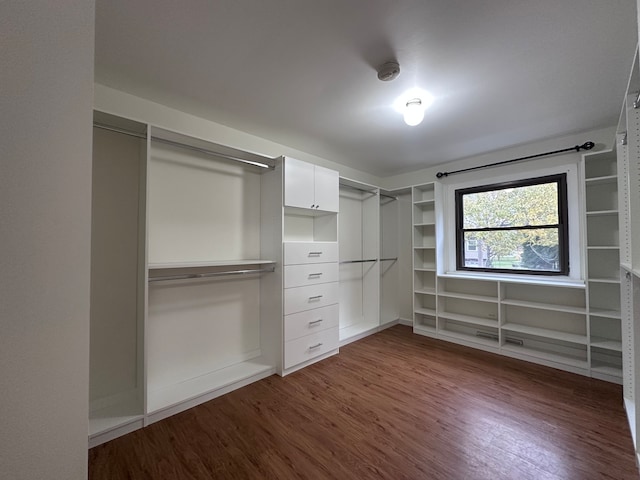 walk in closet featuring dark wood-type flooring