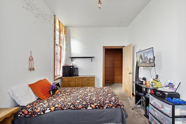 bedroom featuring multiple windows and light colored carpet