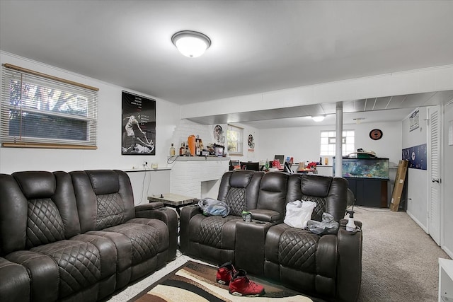 cinema room with carpet floors