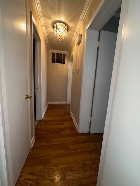 corridor with crown molding, an inviting chandelier, and dark hardwood / wood-style floors