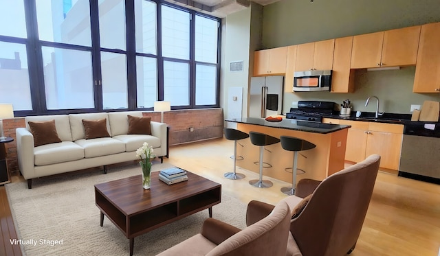 kitchen with a towering ceiling, sink, light wood-type flooring, a kitchen island, and stainless steel appliances