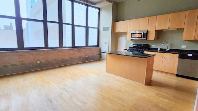 kitchen with light hardwood / wood-style flooring, appliances with stainless steel finishes, a center island, and a wealth of natural light