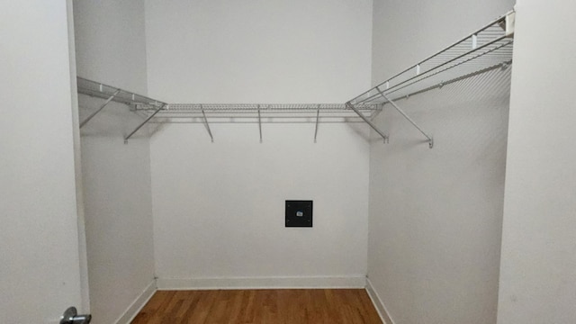 spacious closet with dark wood-type flooring