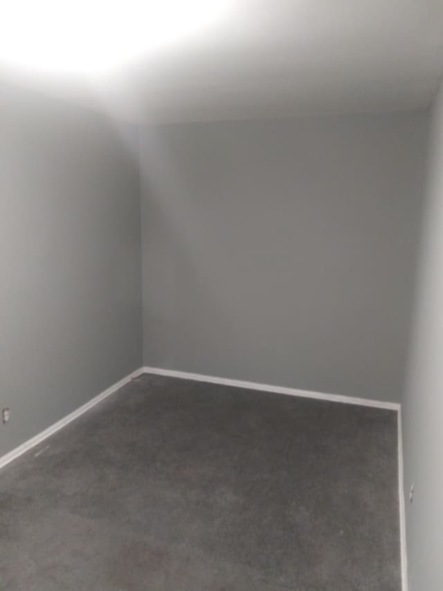 unfurnished room with carpet flooring