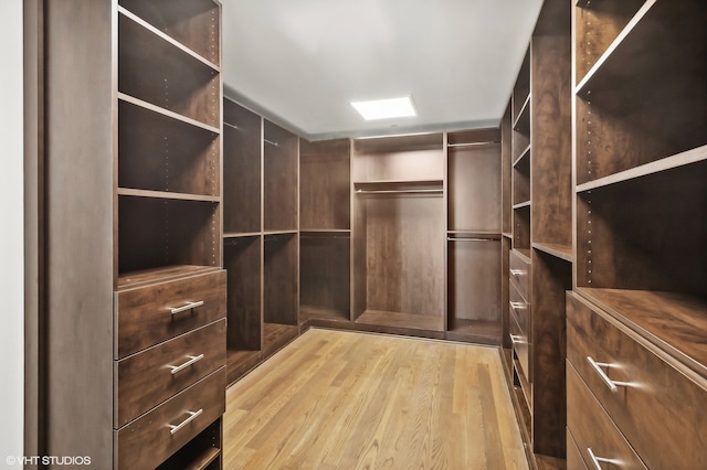 spacious closet featuring light wood-type flooring