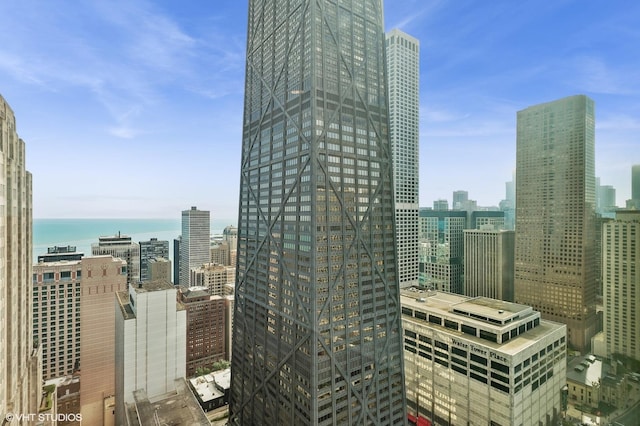 77 E Walton St Unit 28B, Chicago, IL 60611 - view of city