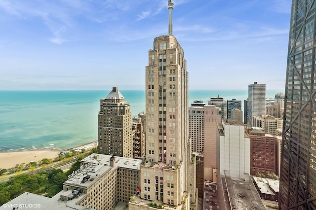 77 E Walton St Unit 28B, Chicago, IL 60611 - city view featuring extended coastline