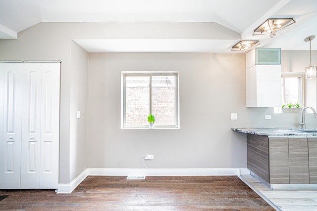 kitchen featuring a healthy amount of sunlight, vaulted ceiling, and dark hardwood / wood-style flooring