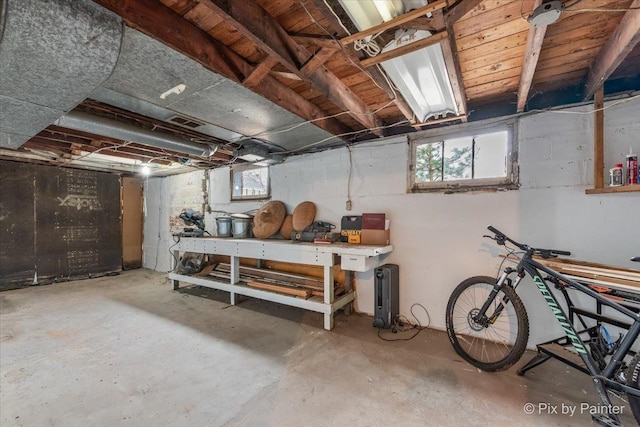 basement featuring a healthy amount of sunlight