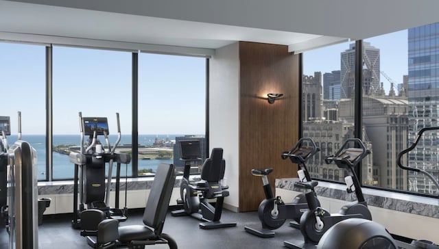 workout area featuring a wealth of natural light and a water view