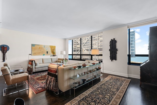 living room featuring dark hardwood / wood-style flooring