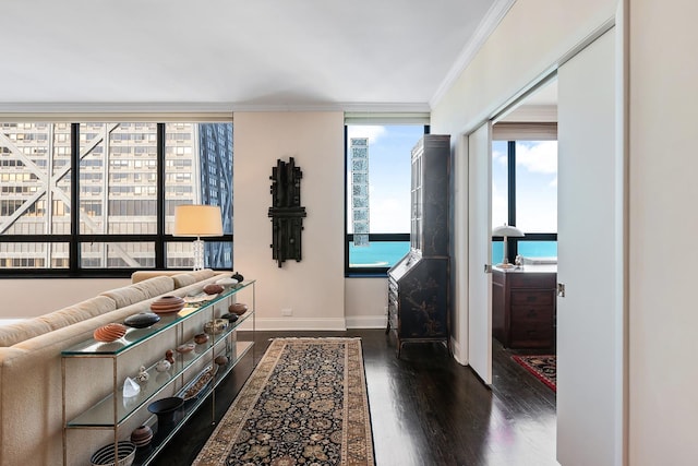 living room featuring a water view, ornamental molding, and dark hardwood / wood-style floors