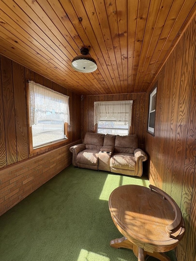 interior space with wood ceiling, carpet floors, and wood walls