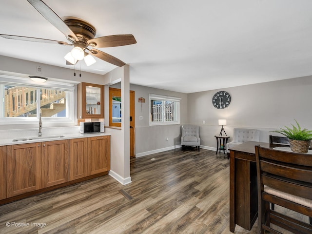 kitchen with sink, dark wood-type flooring, a healthy amount of sunlight, and ceiling fan