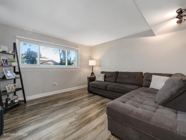 living room featuring wood-type flooring