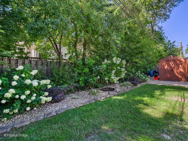 view of yard with a storage unit