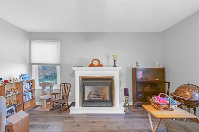 sitting room with hardwood / wood-style floors