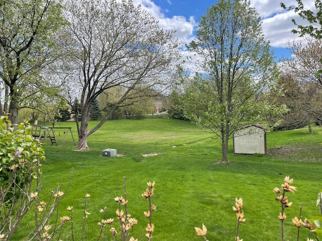 view of yard with a shed