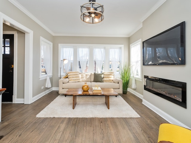 living room featuring ornamental molding and dark wood-type flooring