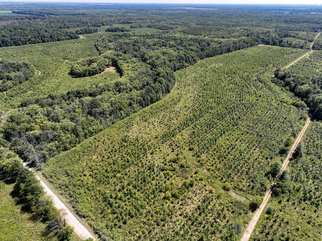 TRACT1 Mint Ln, Clay City, IL 62824 - photo 2