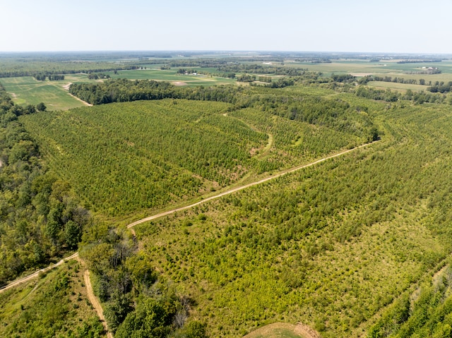 TRACT1 Mint Ln, Clay City, IL 62824 - photo 11