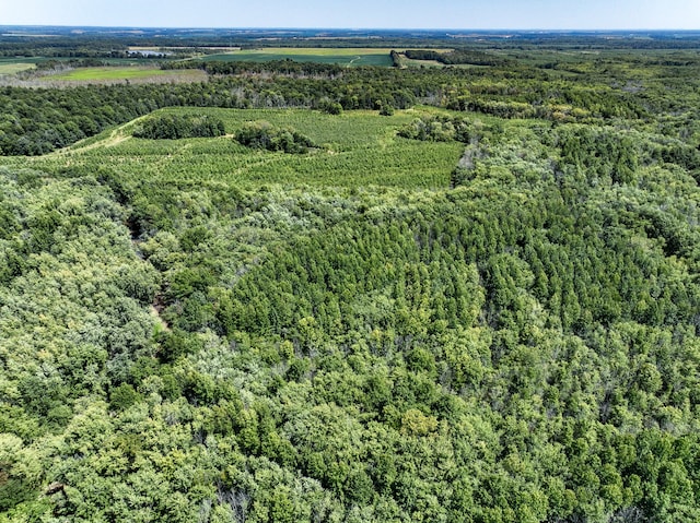 TRACT1 Mint Ln, Clay City, IL 62824 - photo 12