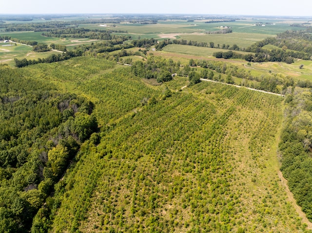 TRACT1 Mint Ln, Clay City, IL 62824 - photo 13