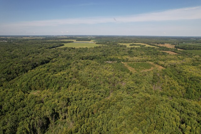 TRACT1 Mint Ln, Clay City, IL 62824 - photo 14