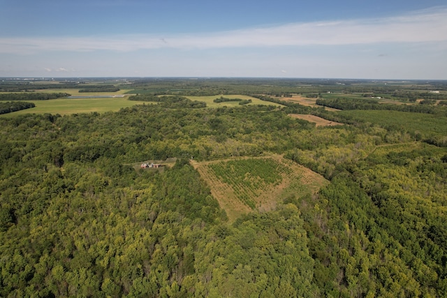 TRACT1 Mint Ln, Clay City, IL 62824 - photo 15