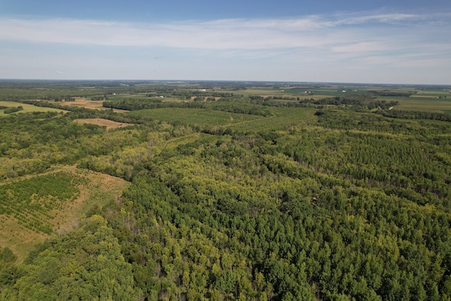 TRACT1 Mint Ln, Clay City, IL 62824 - photo 16