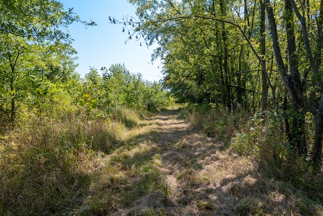 TRACT1 Mint Ln, Clay City, IL 62824 - photo 19