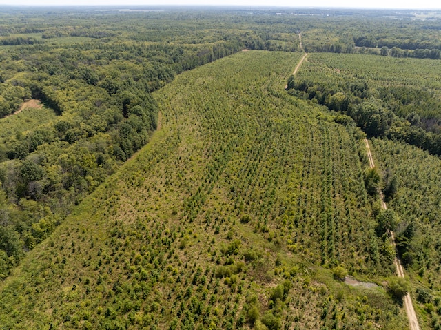 TRACT1 Mint Ln, Clay City, IL 62824 - photo 3