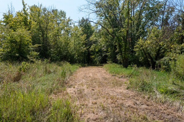 TRACT1 Mint Ln, Clay City, IL 62824 - photo 21