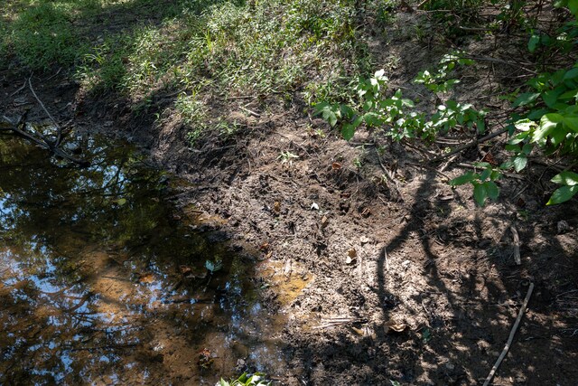 TRACT1 Mint Ln, Clay City, IL 62824 - photo 22