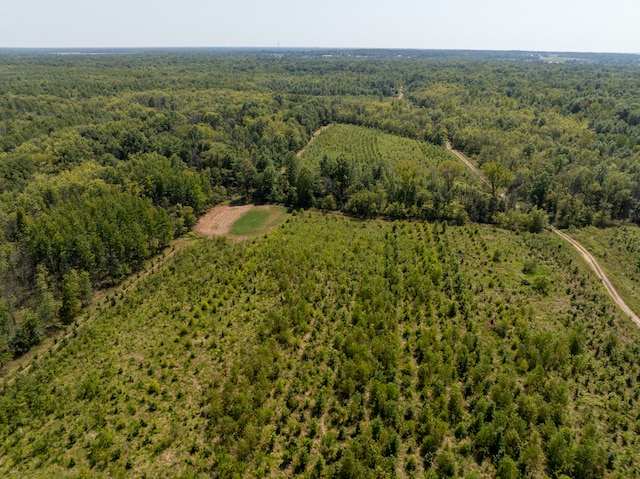 TRACT1 Mint Ln, Clay City, IL 62824 - photo 5