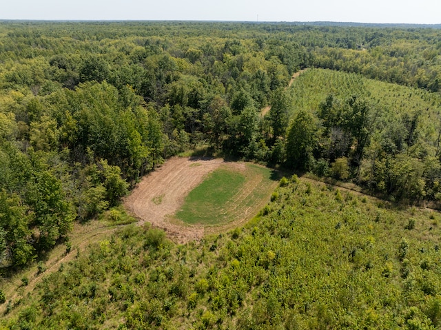 TRACT1 Mint Ln, Clay City, IL 62824 - photo 6