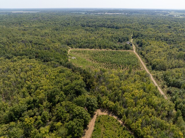 TRACT1 Mint Ln, Clay City, IL 62824 - photo 7