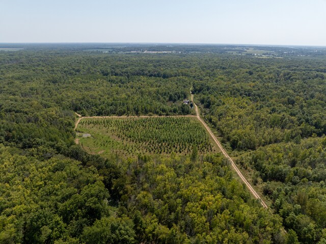 TRACT1 Mint Ln, Clay City, IL 62824 - photo 9