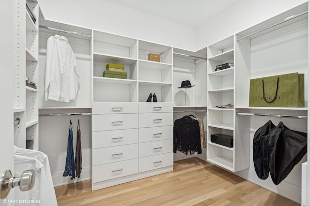 walk in closet with light wood-type flooring